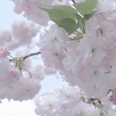 原创Furry角色设计福瑞交流群